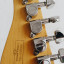 Impoluta Schecter Stratocaster
