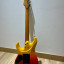Ibanez az242f tsg - fishman abashi