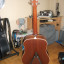 Taylor acoustic guitar