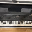 KURZWEIL FORTE 7