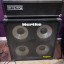 Amplificadores bajo