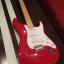 Fender Stratocaster Eric Clapton signature RESERVADA