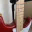 Fender Stratocaster SRV + Kotzen