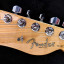 Fender Telecaster (USA) por Godin (Nylon)