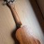 Ukelele Tanglewood tribal spirit
