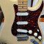 Fender Stratocaster Buddy Guy Signature USA