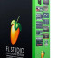 FL Studio 25 all plugins edition