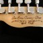 Guitarra tipo Telecaster Beatles (Nuevas fotos!)