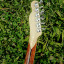 Telecaster thinline custom