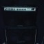 Carvin Combo mts 3200 2x12 + case a medida