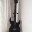 Washburn X300 Pro