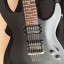 Washburn X300 Pro