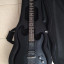 Washburn X300 Pro