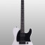 Fender telecaster Jim root