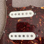 Golpeador completo Texas Special + Pearly Gates