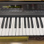 Roland D50 con expansión M.EX de Musitronics