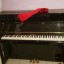Piano Daewoo Profesional 115 Renner