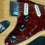 Cambio Fender partcaster stratocaster lite Ash por SG con p90 o Epi custom