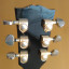 Gibson Les Paul Standard DC 2001- 1000 €