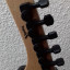 Guitarra eléctrica Parker DF524 (Dragon Fly-Maxxfly Radial)