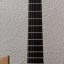 Guitarra eléctrica Parker DF524 (Dragon Fly-Maxxfly Radial)