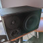 Monitor Dynaudio LYD-48