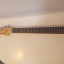 Mastil Squier  Showmaster  by Fender con Pala invertida