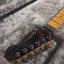 Fender stratocaster ultra luxe Floyd rose