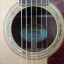 Guitarra acústica Washburn  F52SWCE