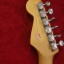 Fender stratocaster partscaster