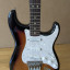 Fender Stratocaster Dave Murray Strat 2TSB