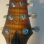 Guitarra Carvin SH550 (Made in USA)