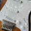 Fender Stratocaster Dave Murray Strat 2TSB