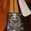 Fender Telecaster Tele-Bration Lite Rosewood