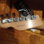 Fender Telecaster Tele-Bration Lite Rosewood