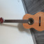 Guitarra Alhambra 1C (Kit)