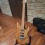 Ibanez tom quayle