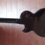 Gibson LP Special 2001