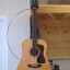 Guild D 40 Traditional NAT