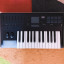 Korg Taktile 25 (Controlador MIDI)