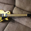 (GOLD) Gibson Les Paul Studio Raw Power