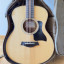 TAYLOR GS-MINI SAPELE