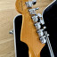 Fender Stratocaster American Deluxe V Neck