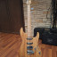 Ibanez tom quayle