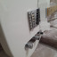 Fender Telecaster Player
