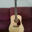 Martin D 10 e