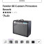 FENDER 68 Custom PRINCETON REVERB 900 eur,oferton