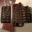 Ibanez RG Prestige 2550 GW
