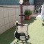 Guitarra JOMADI años 60 . ENVIO INCL