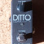 TC Electronic Ditto Looper (envío incluido)